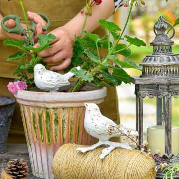 Sungmor Cast Iron Small Bird Statues, Set of 2 Antique White Bird with Branch Collectible Figurines, Farmhouse Home Garden Decorative Bird Sculpture, Realistic Indoor and Outdoor Ornaments