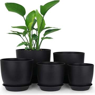 Decorative Succulent Pots