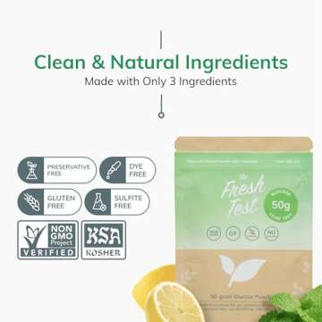 The Fresh Test, 50-gram Powder Drink Mix | Additive-Free, Non-GMO, Organic Ingredients | Mint Lemonade