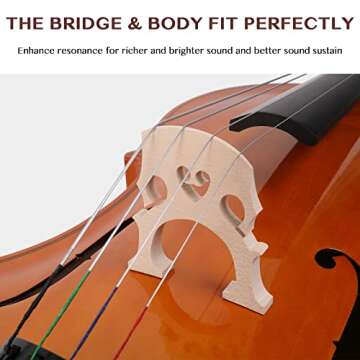 Ktaxon Full-Size Cello, Beginner Cello 4/4, Acoustic Cello Kit with Portable Bag, Bow, Bridge, Rosin, Adults & Kids String Musical Instruments(Nature)