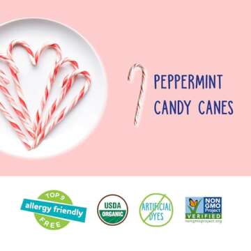 YumEarth Organic Candy Canes - Individually Wrapped Full Size Peppermint Candy Canes - Allergy Friendly, Non GMO, Gluten Free, Vegan - 10 Count (Pack of 1)