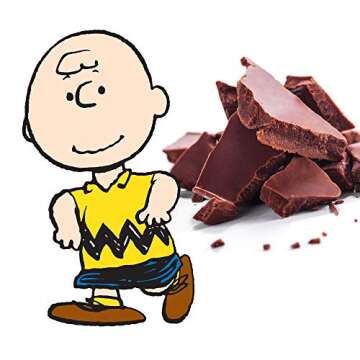 Snoopy Valentine's Chocolate Variety Gift Box, Charlie Brown Snacks, Peanuts Snoopy Gifts for Women, 5 Gourmet Belgian Chocolate Candy Bars 1.75oz Each, Valentine’s Day Gifts for Kids & Family