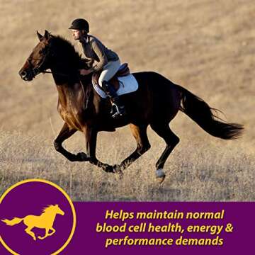 Farnam Horse Health Red Cell, Liquid Vitamin-Iron-Mineral Supplement for Horses, Helps Fill Important Nutritional Gaps in Horse's Diet, 1 Gallon, 128 Oz., 64-Day Supply