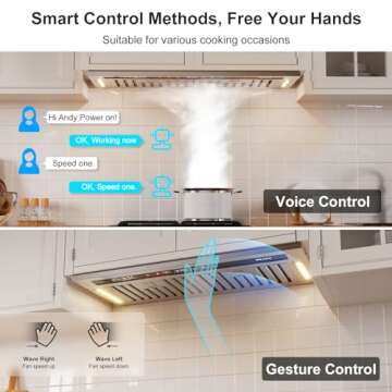 BRANO Range Hood Insert with Smart Control, 900 CFM