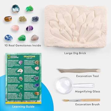 NATIONAL GEOGRAPHIC Gemstone Dig Kit – Dig Up 10 Real Gemstones and Crystals, Science Kit for Kids, Gem Digging Kit, Gift for Girls and Boys, Mining Kit, Rock Collection