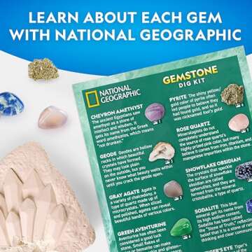 NATIONAL GEOGRAPHIC Gemstone Dig Kit – Dig Up 10 Real Gemstones and Crystals, Science Kit for Kids, Gem Digging Kit, Gift for Girls and Boys, Mining Kit, Rock Collection