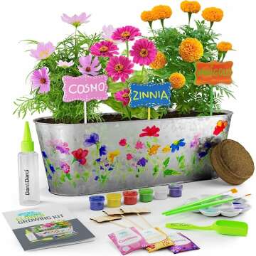 Dan Darci Paint Flower Growing Kit: Colorful Art & Creativity