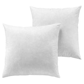 Yesterday Home Set of 2-22x22 Decorative Throw Pillow Inserts-Down Feather Pillow Inserts-White