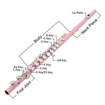 Ktaxon C Closed Hole Flute 16 Keys Flutes Kit for Students, Professionals & Beginner, Orchestra Musical Nickel Flute with Hard Case, Cleaning Rod, Cloth, Gloves (Pink)