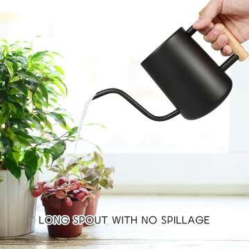 Stainless Steel Watering Can for Indoor Plants