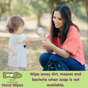 Antibacterial Hand Wipes for Kids - Boogie