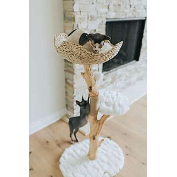 Wooden Cat Climbing Tree Tower, Modern Single Branch Cat Condo, Wood, Cat Lover Furniture Gift by MAU LIFESTYLE (Alpine White)