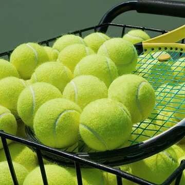 Swity Home Tennis Balls, 24 Pack Tennis Training Balls for Adults Kids Lessons, Practice or Playing with Pet (Regular Color)