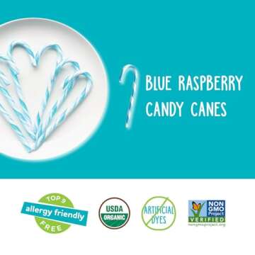 YumEarth Organic Candy Canes - Individually Wrapped Full Size Blue Raspberry Candy Canes - Dye Free, Allergy Friendly, Non GMO, Gluten Free, Vegan - 10 Count (Pack of 1)