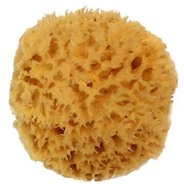 Natural Sea Wool Sponge 4-5" by Spa Destinations ® Amazing Natural Renewable Resource"Creating The in Perfect Bath and Shower Experience" 100% Satisfaction Guarantee!