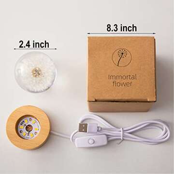 Flower Crystal Ball Night Light with Wooden Base