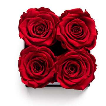 Soho Floral Arts | Roses in A Box | Genuine Roses that Last for Years (White Square 4ct, Red) | Mothers Day Gifts