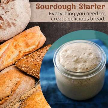 Living Dough - 233 Year Old San Francisco Sourdough Starter Culture - Active & Live Organic Sourdough Starter for Baking - For Artisanal Bread, Pizza Dough, Waffles & More