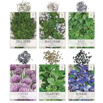 Seed Needs Herb Seeds Variety Pack Culinary Herb Collection (12 Individual Packets for Planting Indoors or Outdoors) Grow Your Own Organic Herb Garden - Heirloom, Non-GMO