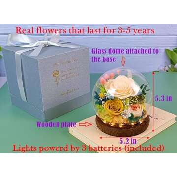 Valley of Rain & Forest - Eternal Real Flower Gift for Any Occasion