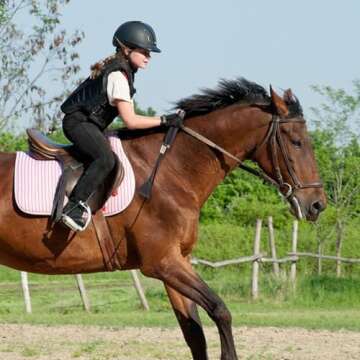 Durable Horse Riding Crop Whip for Equestrians