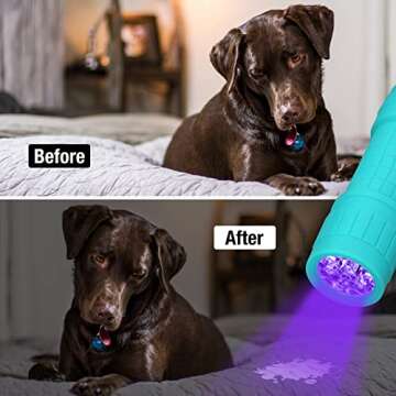 EverBrite Black Light Flashlight for Pet Stains & More