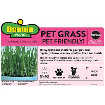 Bonnie Plants Pet Friendly Garden Plants (4-Pack), Live Plants, Cat & Dog Friendly Herbs, Catnip, Pet Grass, Sweet Mint & Oregano