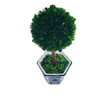 Galt International Preserved Boxwood Topiary Tree in Blue & White Ceramic Pot - Plant and Table Centerpiece Stunning Greenery and Plant Decor for Home 5.9" Diameter Topiary 14" Tall