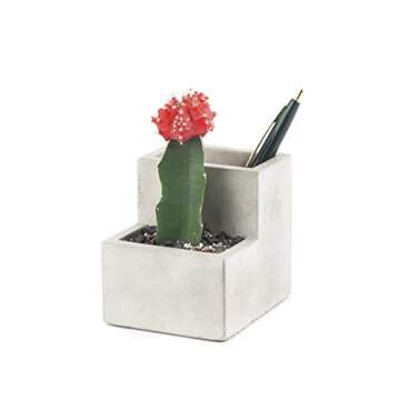 Kikkerland Small Concrete Desktop Planter PL02-S