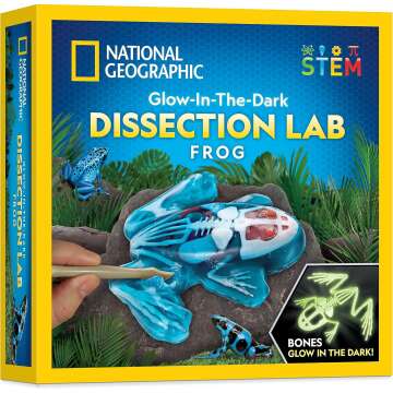 Frog Dissection Kit - Glow in the Dark Anatomy Lab for Kids