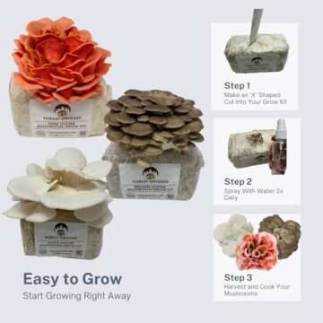 Forest Origins Specialty Trio Oyster Mushroom Grow Kit 3-Pack Variety - Beginner Friendly & Easy to Use, Grows in 10 Days | Handmade in California, USA | Top Gardening Gift, Holiday Gift & Unique Gift