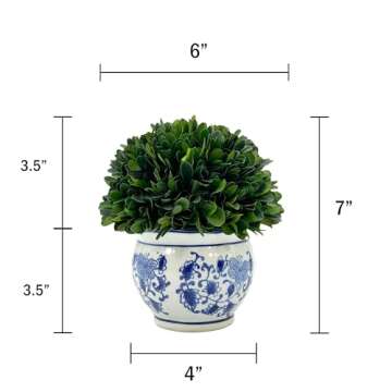 Galt International 7" Naturally Preserved Real Boxwood Ball in Hand-Painted Blue & White Round Bulb China Pot Planter Green Indoor Plant Home Decor (Small 7" Tall Topiary)