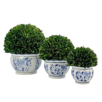 Galt International 7" Naturally Preserved Real Boxwood Ball in Hand-Painted Blue & White Round Bulb China Pot Planter Green Indoor Plant Home Decor (Small 7" Tall Topiary)