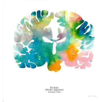 Neuroscience Art Set - 3 Prints for Calming Decor