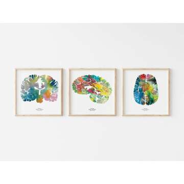 Neuroscience Art Set - 3 Prints for Calming Decor