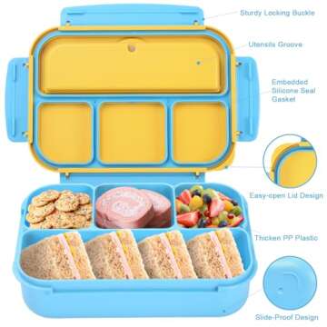 Shell and Turtle Bento Box for Kids and Adults