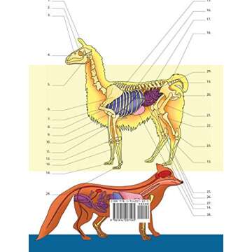 Veterinary & Zoology Coloring Book: 2-in-1 Compilation | Incredibly Detailed Self-Test Animal Anatomy Color workbook | Perfect Gift for Vet Students and Animal Lovers