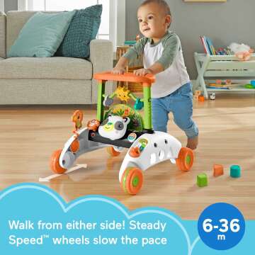 Fisher-Price 2-Sided Panda Walker with Learning Blocks