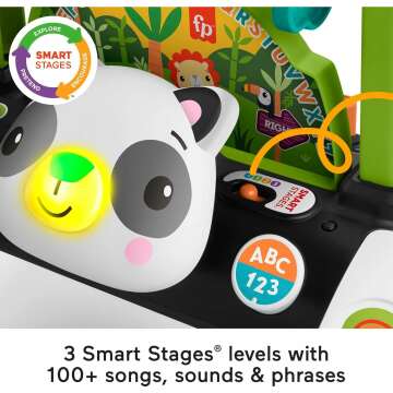 Fisher-Price 2-Sided Panda Walker with Learning Blocks