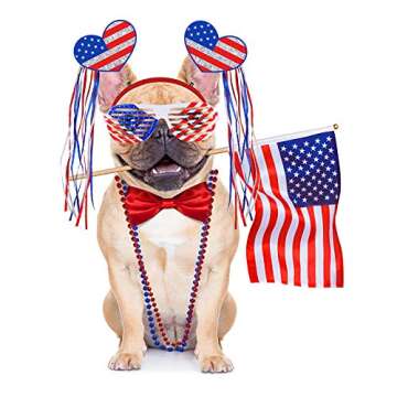 Bulk Patriotic Red White Blue Novelty Jewelry Assortment Patriotic Party Favors Supplies Head Bopper Necklaces Bracelet Glasses Tattoo Stickers for 4th of July Independence Day Memorial Day Parades