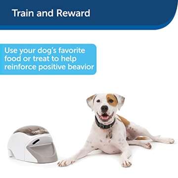 PetSafe Treat and Train Remote Reward Dog Trainer, Treat Dispending Dog Training System, Positive Reinforcement, Includes Training DVD, Target Wand & Remote, white, 16 x 7 x 8 inches