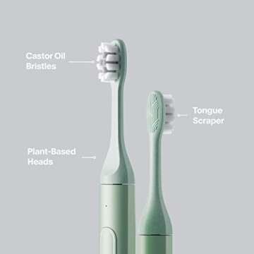 SURI Recyclable Plant-Based, Electric Toothbrush Heads - Built-in Tongue Scraper, Long Lasting Replacement Heads | Compatible Only with SURI Sonic Electric Toothbrush - Winter Fern, Pack of 3