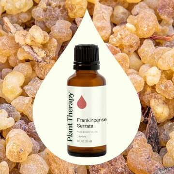 Plant Therapy Frankincense Serrata Essential Oil 100% Pure, Undiluted, Natural Aromatherapy, Therapeutic Grade 30 mL (1 oz)