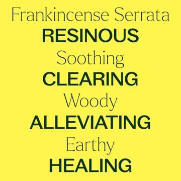 Plant Therapy Frankincense Serrata Essential Oil 100% Pure, Undiluted, Natural Aromatherapy, Therapeutic Grade 30 mL (1 oz)