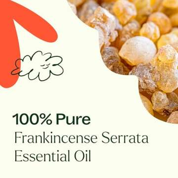 Plant Therapy Frankincense Serrata Essential Oil 100% Pure, Undiluted, Natural Aromatherapy, Therapeutic Grade 30 mL (1 oz)