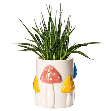 GUTE Colorful Mushrooms Planters Cute Rainbow Planter with Drainage, Vintage Retro Flower Plant Pots for Plants, Eclectic Succulent Gardening Pot for Boho Modern Home Décor Vintage Retro Flower Pot