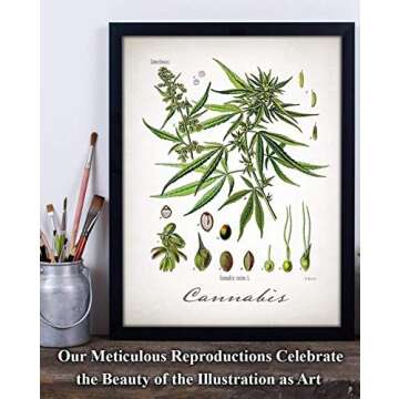 Cannabis - 11x14 Unframed Weed Posters Art Print - Cannabis Illustration, Dispensaries Decor and Marijuana Enthusiasts Gift, Makes Great Marijuana Decor and Stoner Decor Gift