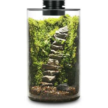 Desktop Glass Plant Terrarium with Grow Light (H:9.8" D:5.9"), for Succulent, Moss, Miniature Gardening Landscape, Betta Fish Tank, Indoor Plant Growth, Office Home Decoration, Plant Lovers Gifts