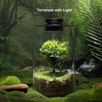 Desktop Glass Plant Terrarium with Grow Light (H:9.8" D:5.9"), for Succulent, Moss, Miniature Gardening Landscape, Betta Fish Tank, Indoor Plant Growth, Office Home Decoration, Plant Lovers Gifts