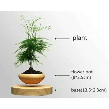 Levitating Bonsai Pot
